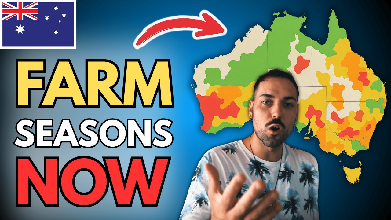 Best Time To Find Farm Jobs In Australia REVEALED! (WHV)
