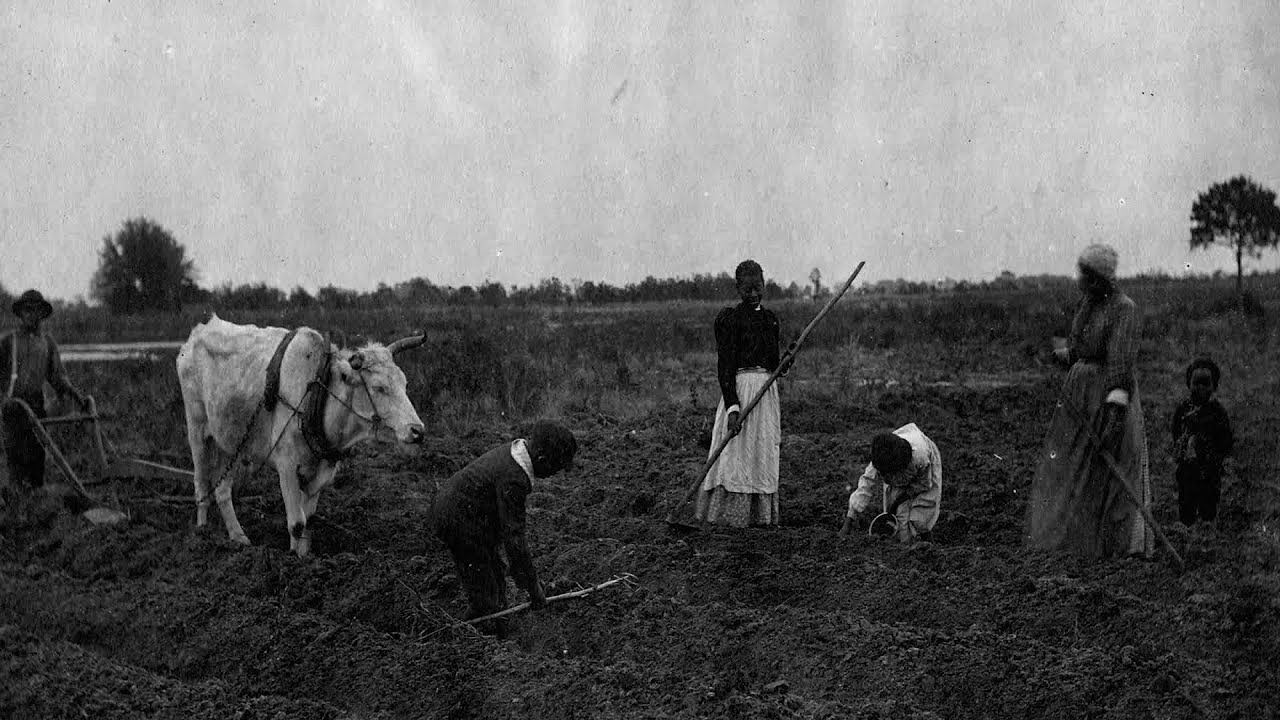 South Carolina: Rights to Ancestral Land