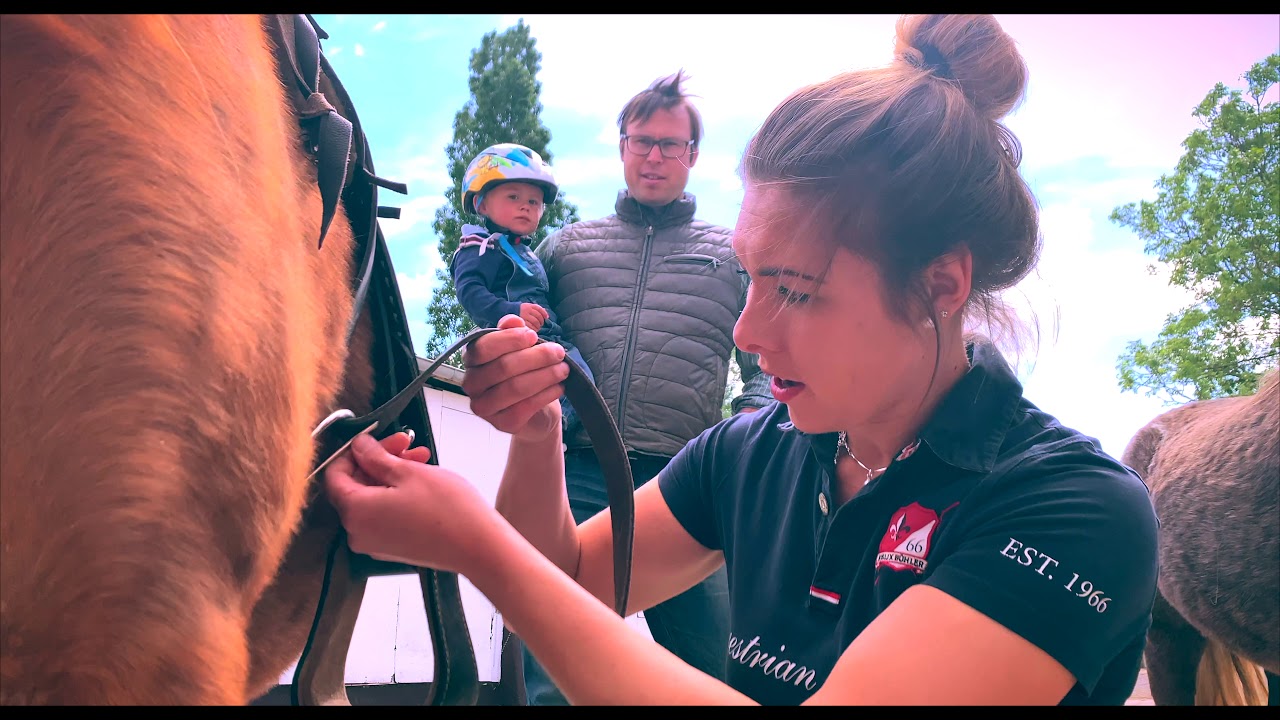 Rund ums Pferd |Alles was das Reiterherz begehrt | Versteeg Trainingscenter |IMAGEFILM