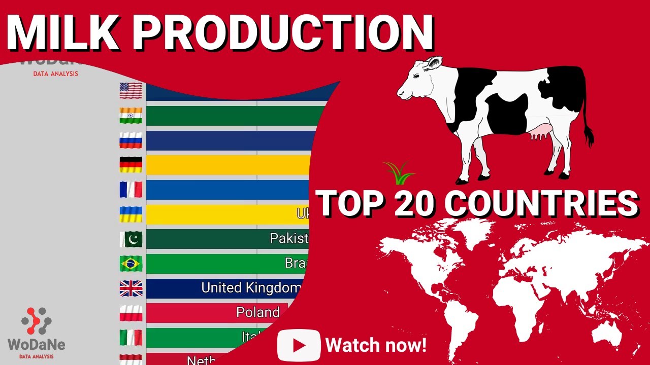 TOP 20 countries by Milk production