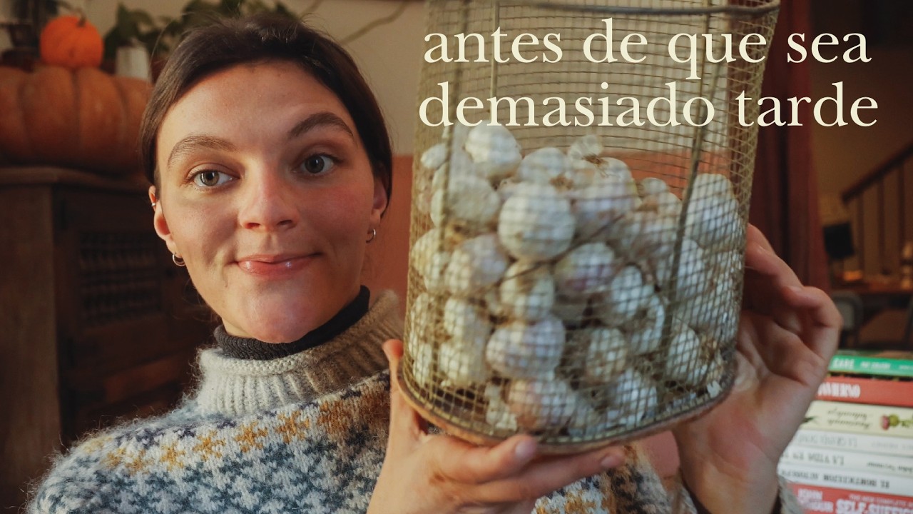 Nos preparamos para evitar problemas en primavera y ¡No te olvides de deshidratar tus ajos!