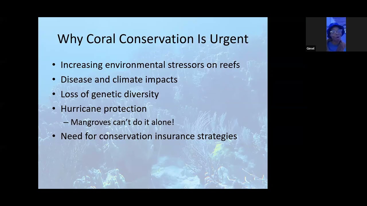 [Webinar] From Wild Reef to Ex Situ System: Bridging Aquaculture and Conservation