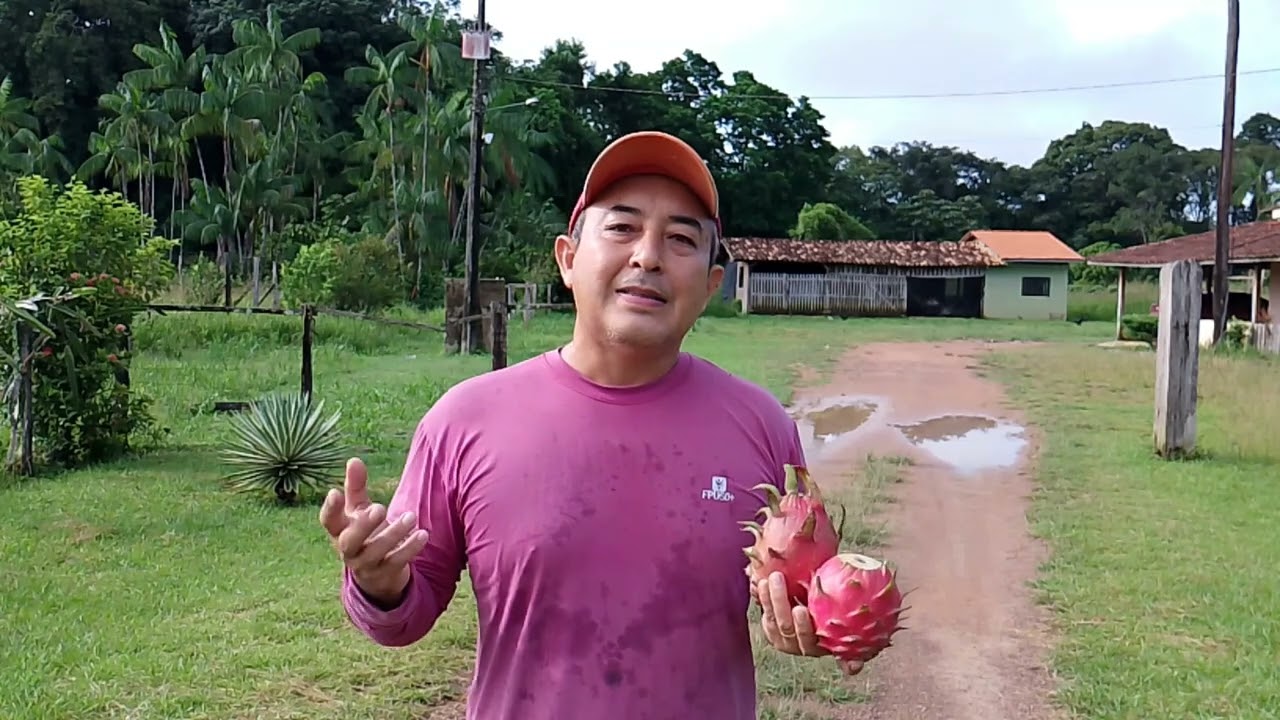 POLINIZAR PITAYA COM PÓLEN DA MESMA FLOR FUNCIONA?