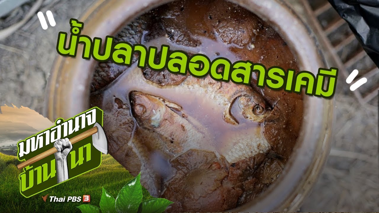 น้ำปลาปลอดสารเคมี : สูตรลับฉบับบ้านนา (26 เม.ย. 63)