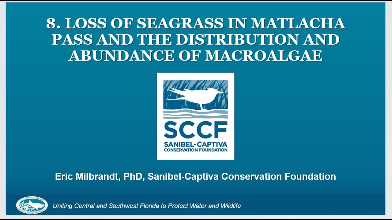Loss of Seagrass in Matlacha Pass & Distribution/Abundance of Macroalgae - E. Milbrandt, PhD, SCCF