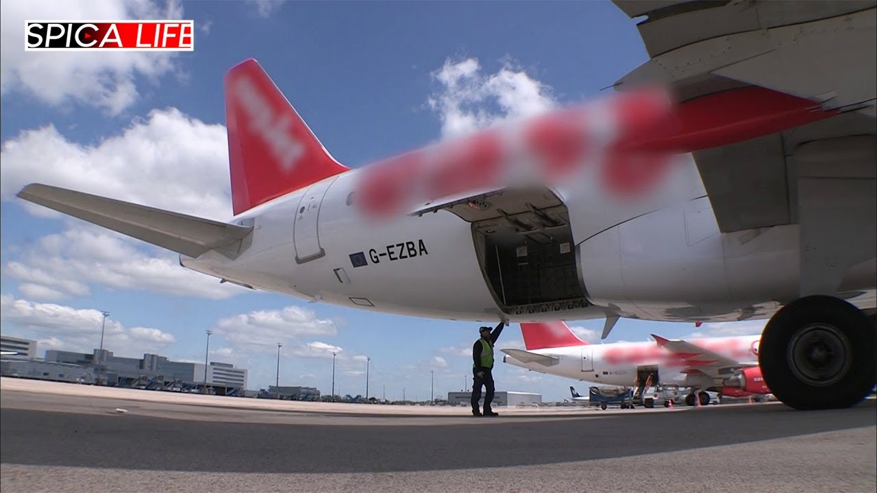 Vols dans les aéroports : enquête au cœur du crime