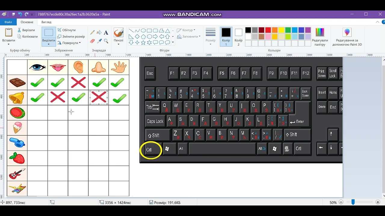 Копіювання фрагментів малюнку в графічному редакторі Paint