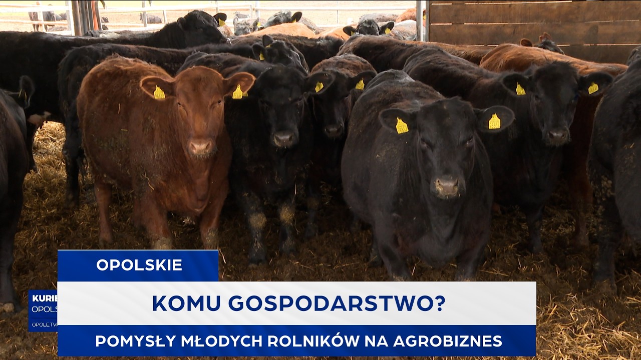 Komu gospodarstwo? Pomysły młodych rolnik&oacute;w na agrobiznes