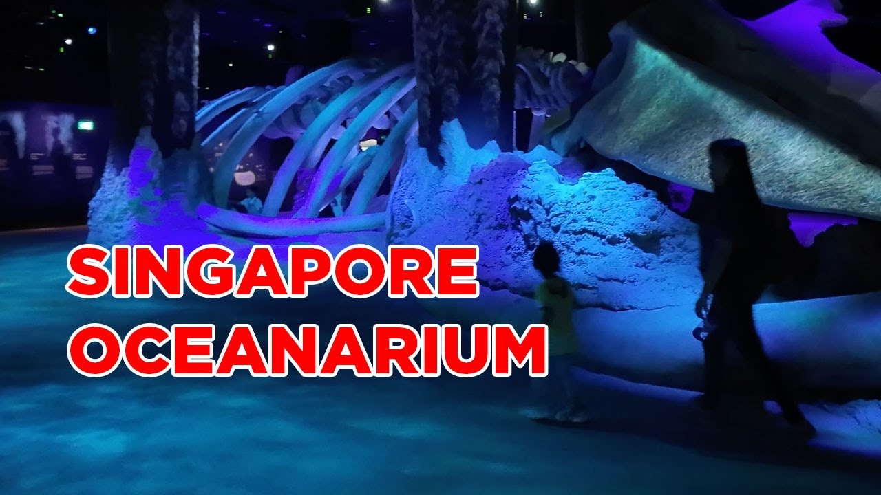 Singapore Oceanarium || Walking Singapore