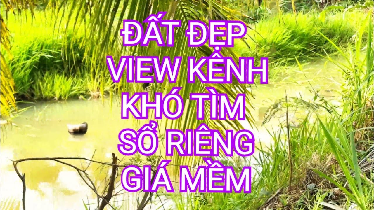 Gợi Ý!.. anh chị mua đất ở đấy làm NHÀ VƯỜN, ĐẦU TƯ QUÁ NGON giá 330 triệu | PLBDS