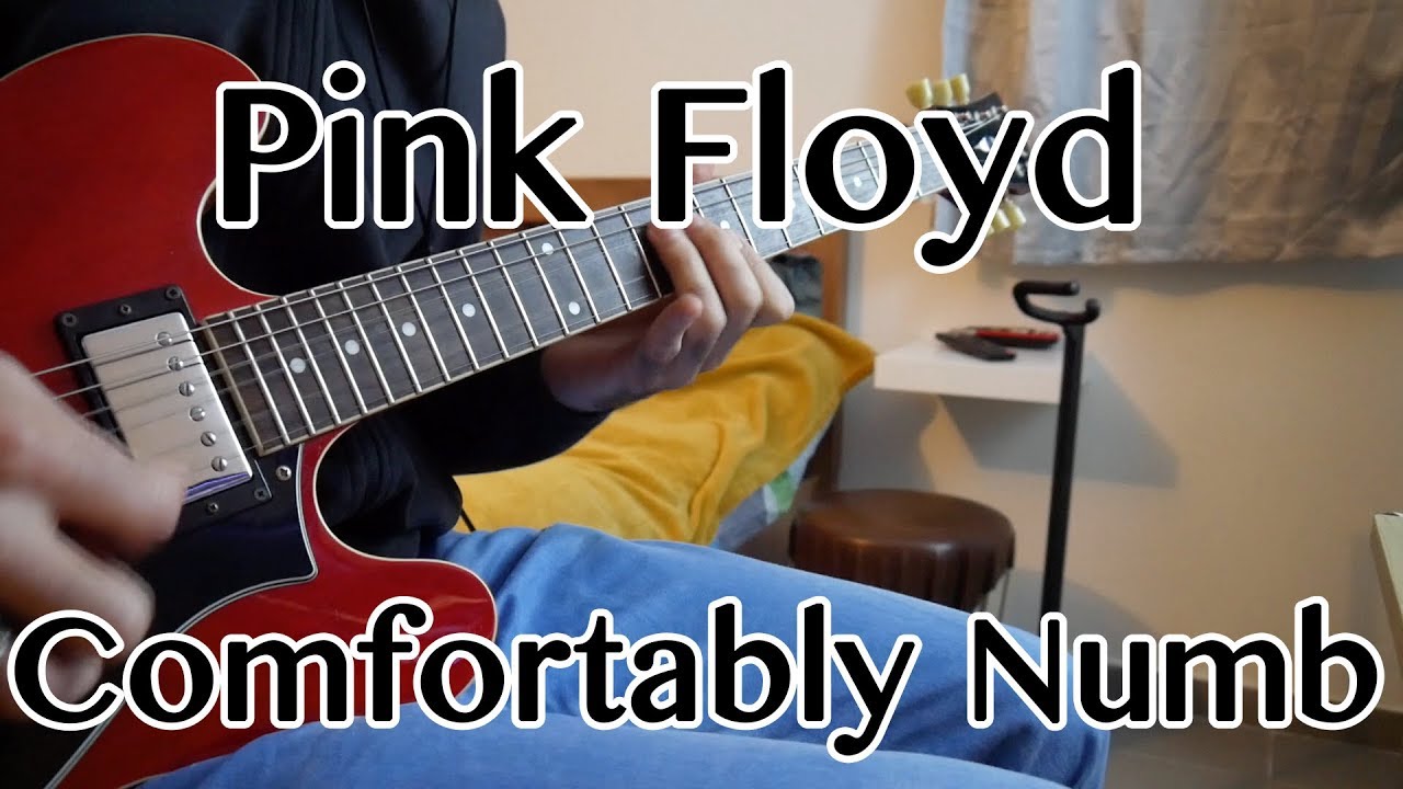 Eladious - Comfortably Numb (Ending Solo Cover)