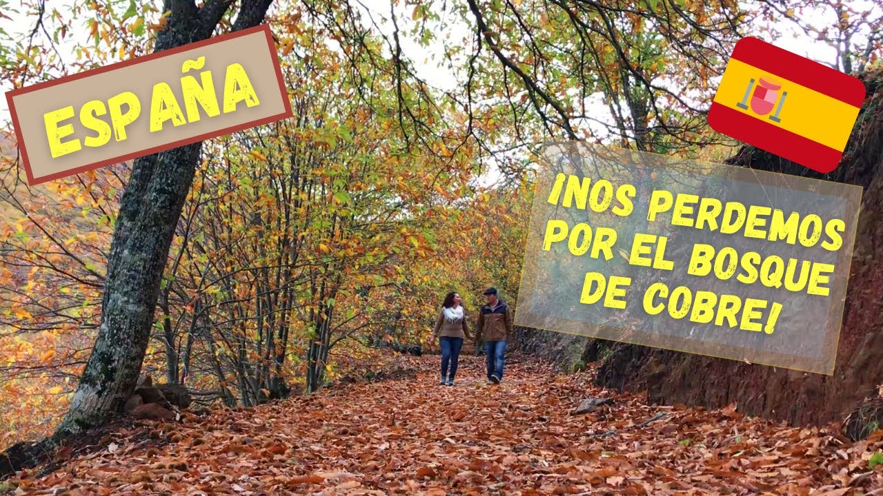 ¡Nos PERDEMOS por EL BOSQUE DE COBRE! -Málaga- (2020)