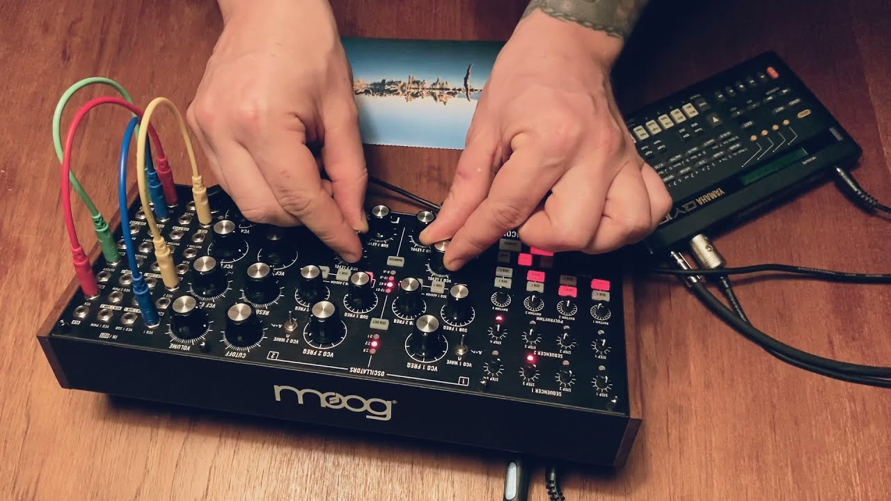 Moog Subharmonicon Jump and Run Jam