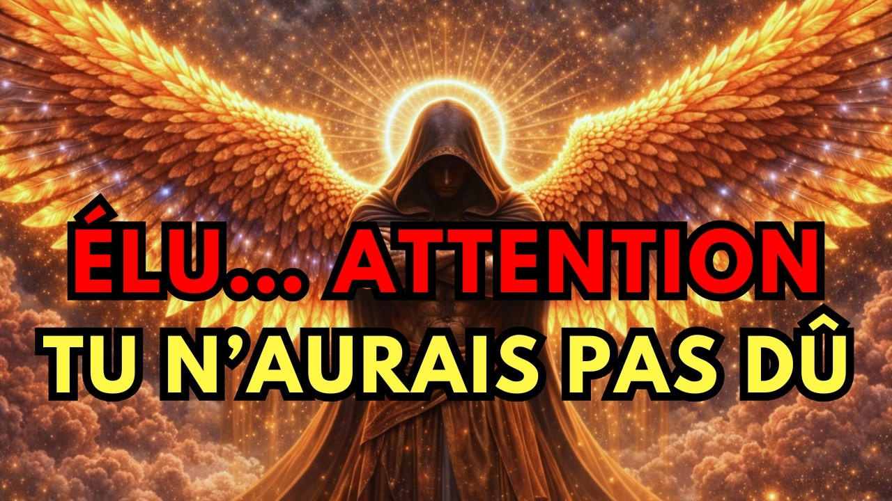 Élus, vous n'auriez pas dû adopter cette attitude – c'était une erreur.
