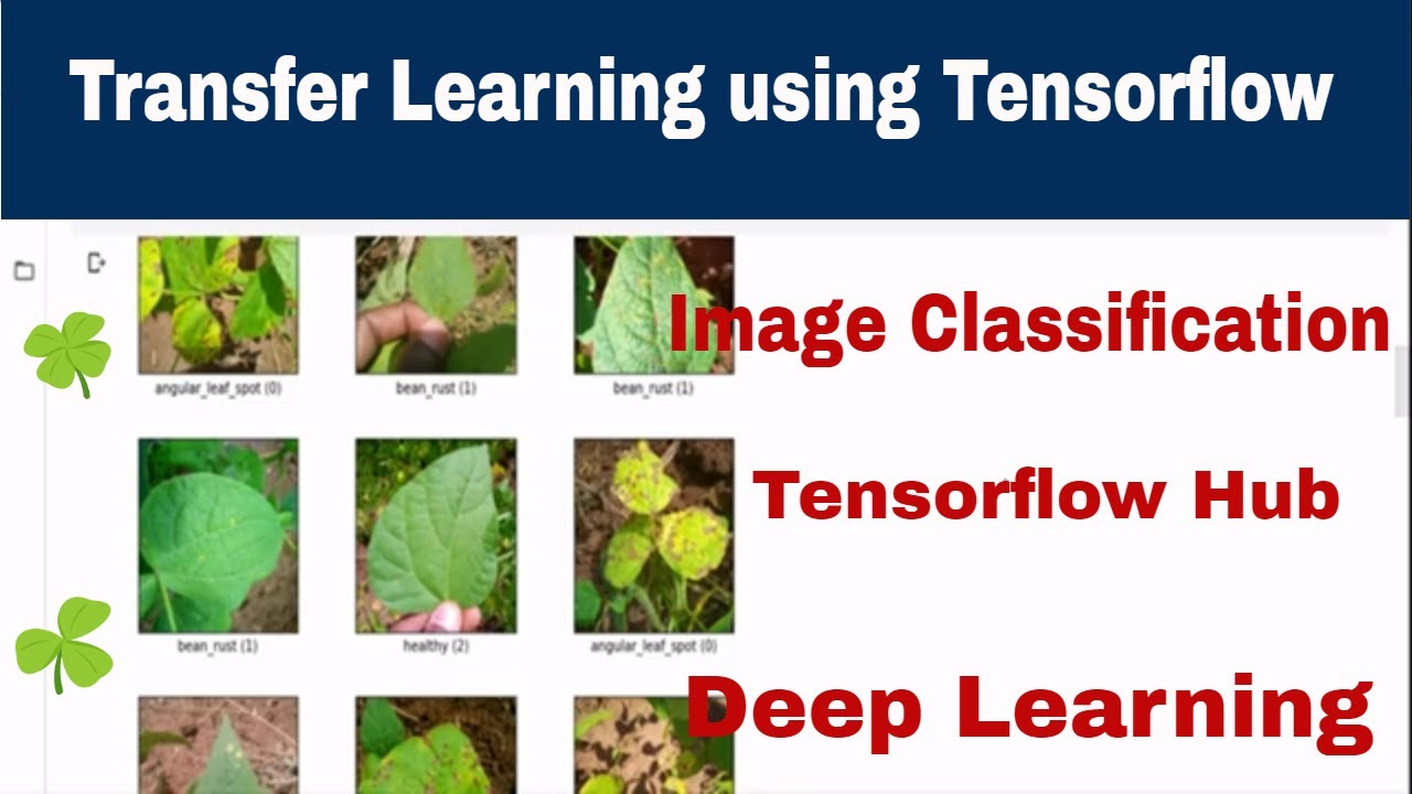 Transfer Learning - Image Classification using Tensorflow