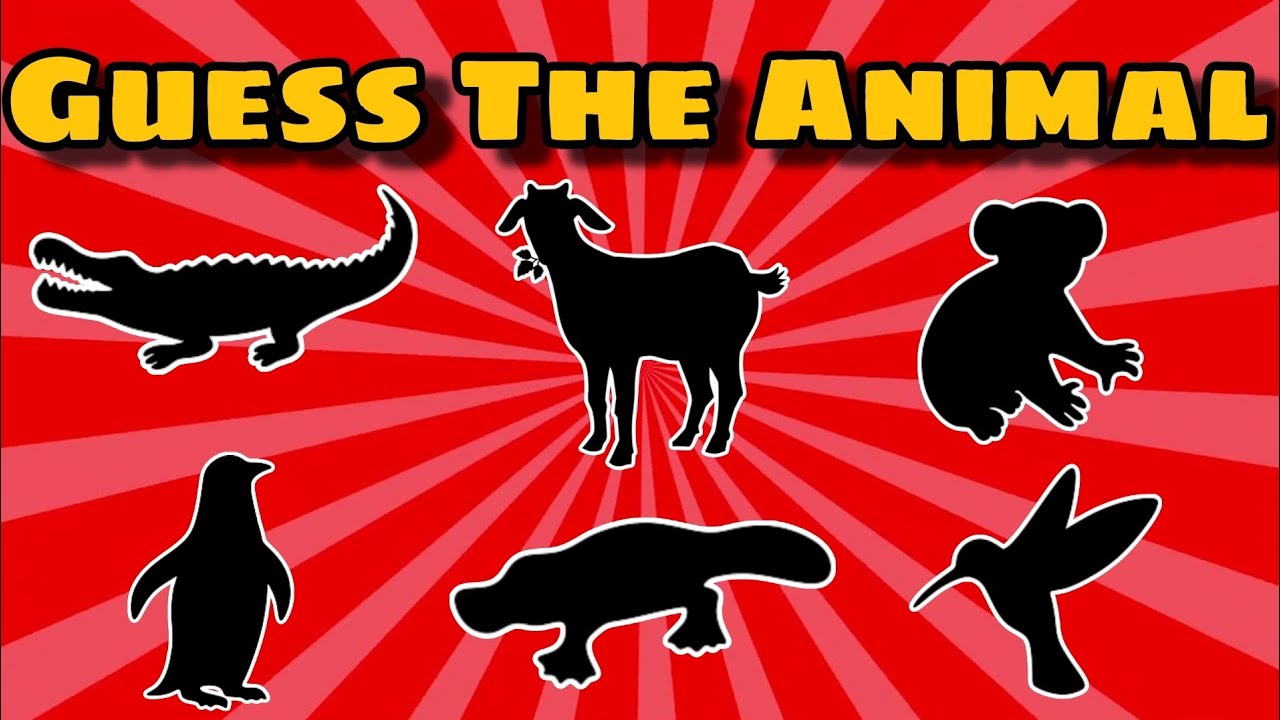 Guess The Animal By Shadow 🐇🐳🦒🐘|Intelligent Meow|#trending #quiz #animals #guess #shadow #quiztime 