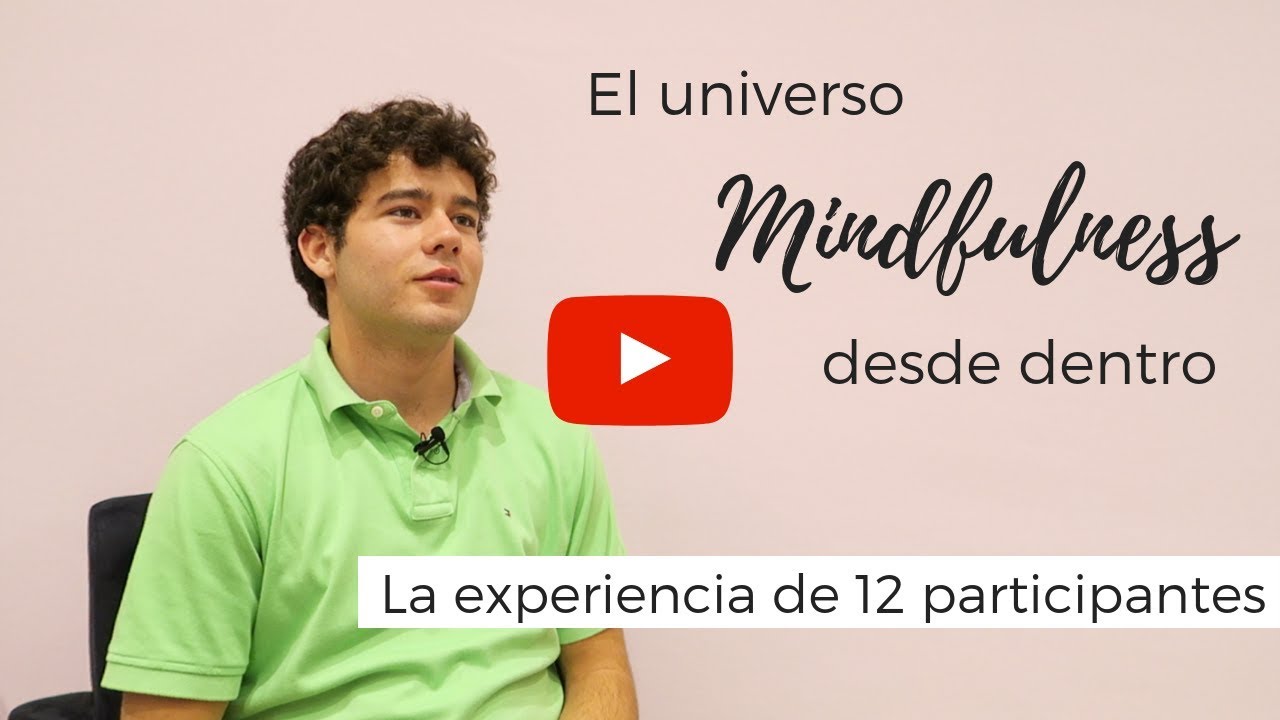 El universo MINDFULNESS desde dentro