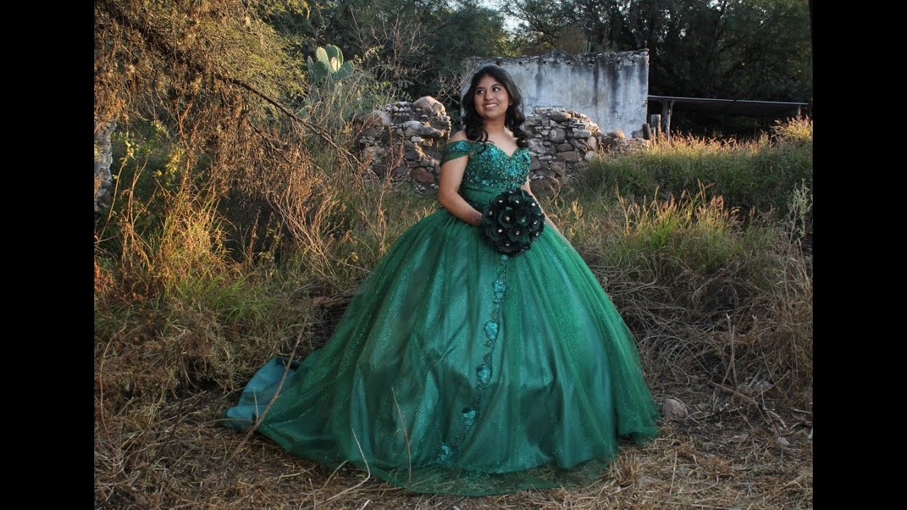RESUMEN  CAMILA XV AÑOS