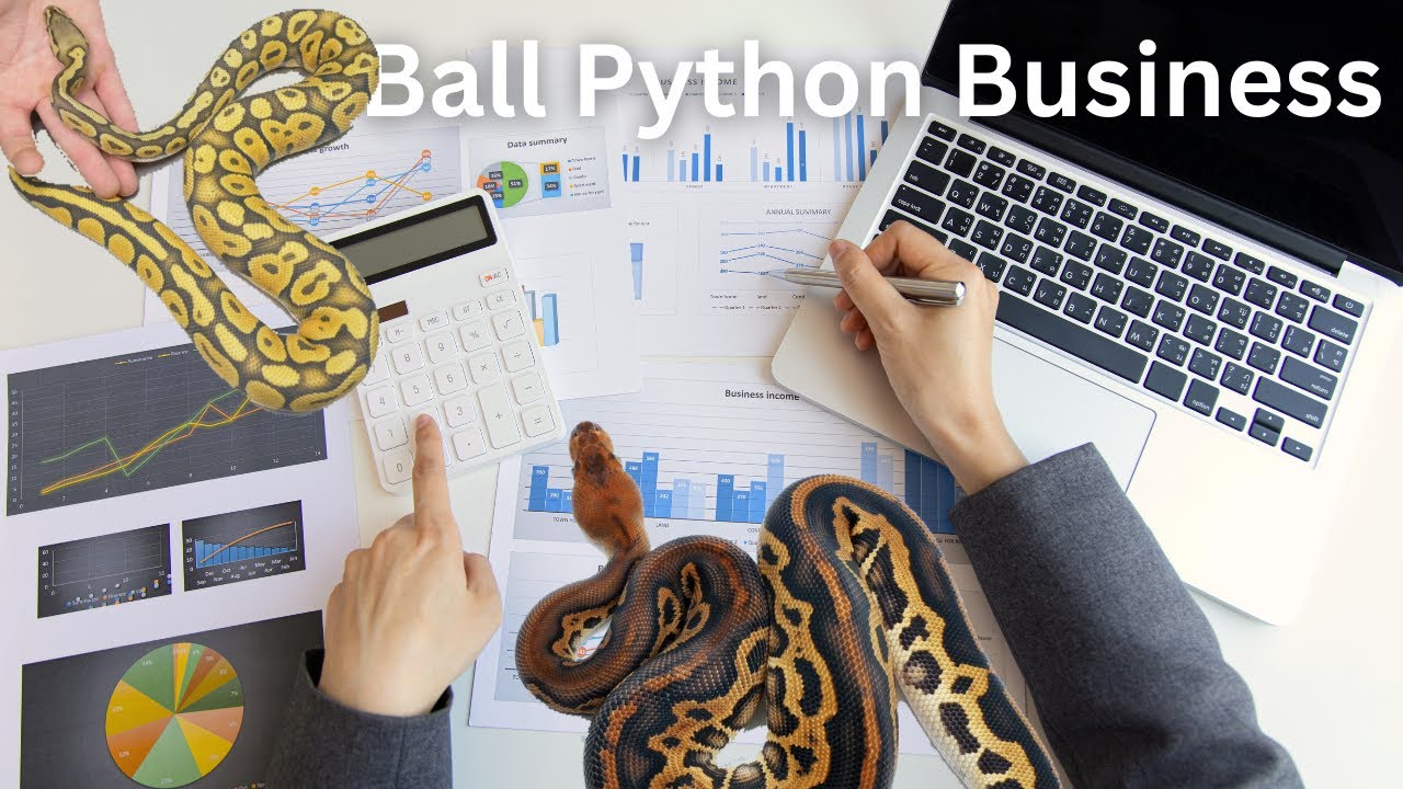 How I Breed Snakes Full Time