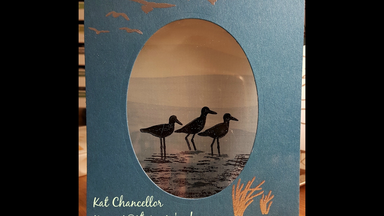 Serene Birds on Acetate