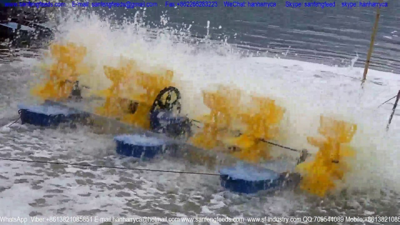 prawn feeds; prawn feed;shrimp feeds;shrimp feed; vannamei feeds;vannamei feed