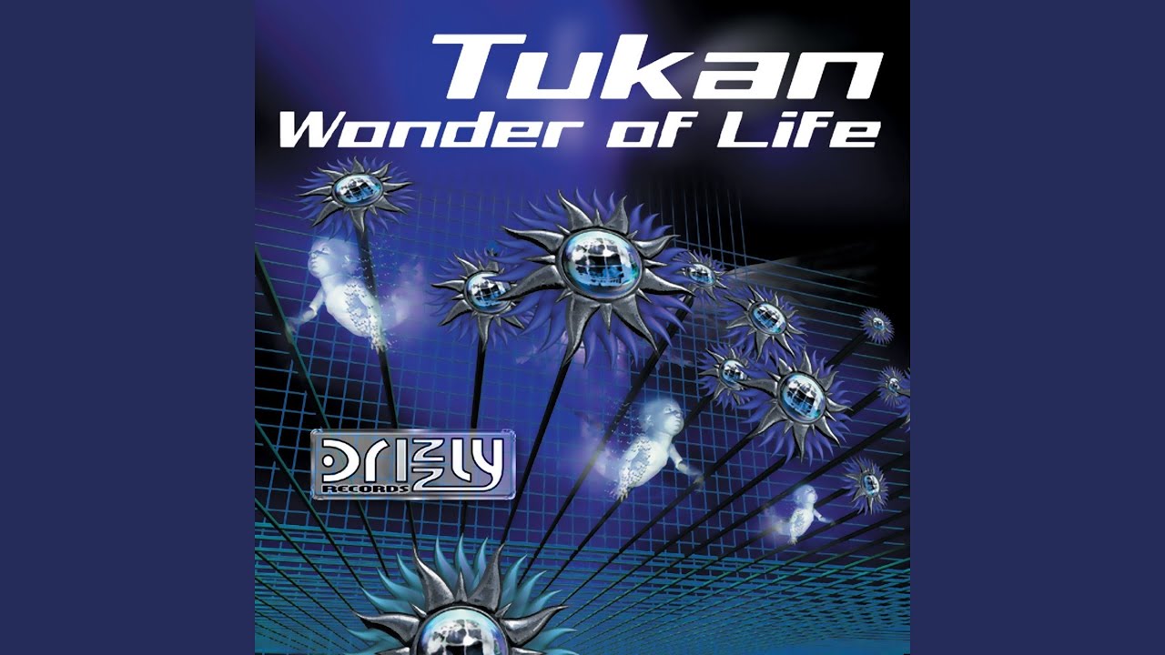 Wonder of Life (F & W Remix)