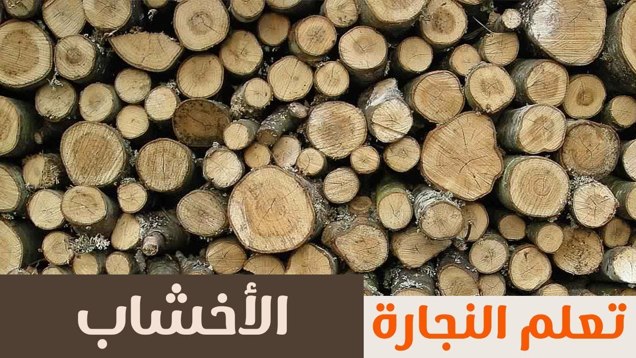 تعلم النجارة : الحلقة (2): مقدمة عن الأخشاب