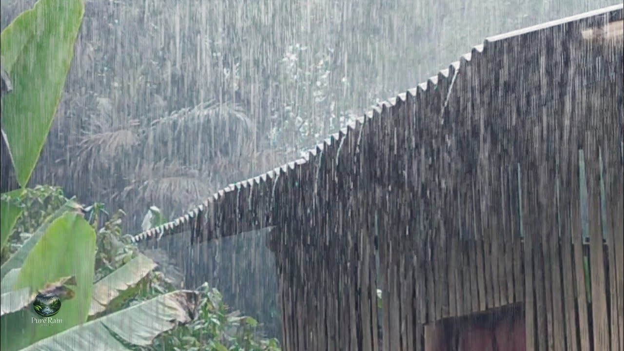 Pure Rain Sounds for Deep Sleep – Gentle Night Rain with Natural Ambience