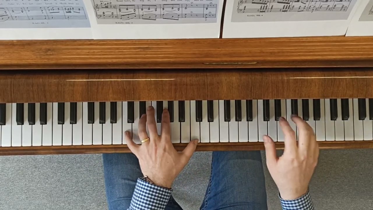 Mozart Don Giovanni Vedrai carino piano accompaniment