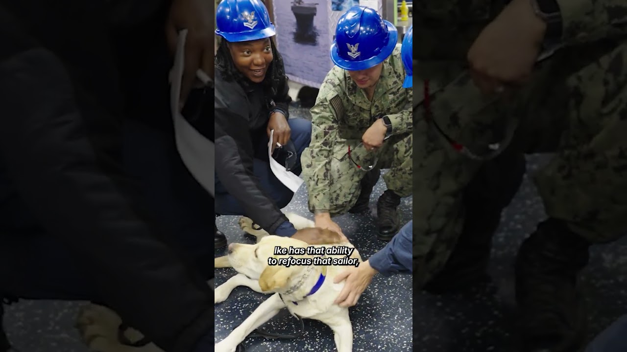 US Navy deploys therapy dogs on warships to support sailor mental health at sea