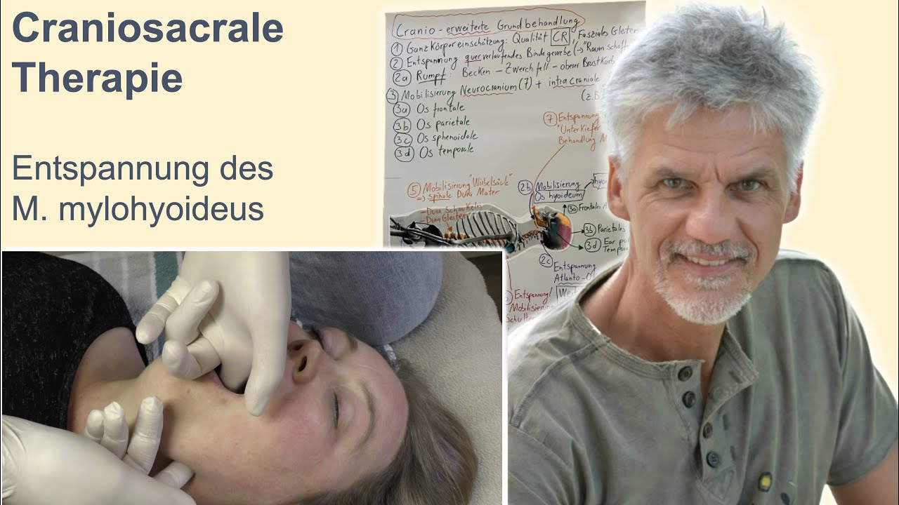 Craniosacrale Therapie (Craniosacral Therapy): Entspannung des M. mylohyoideus