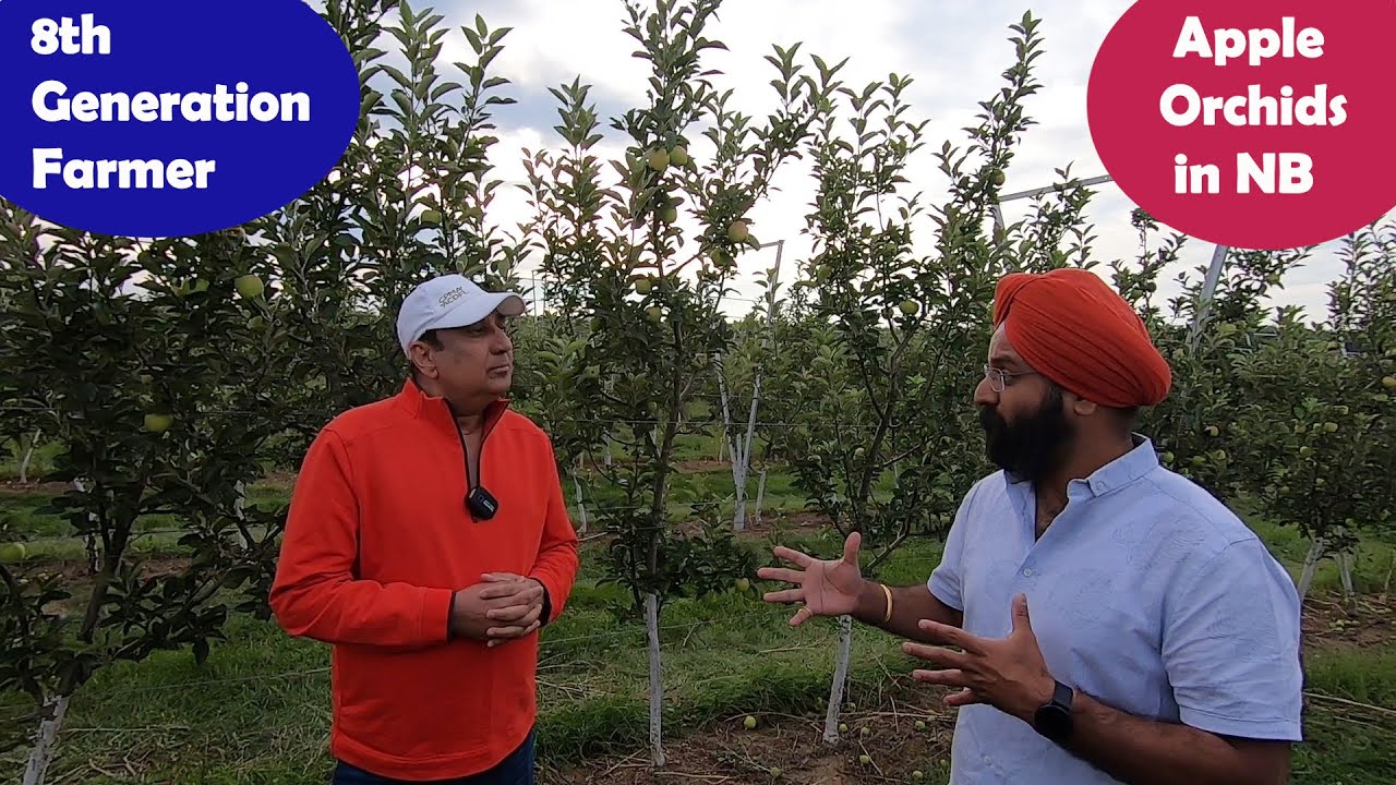 Rich Farming soil of New Brunswick || Canadian Farm tour