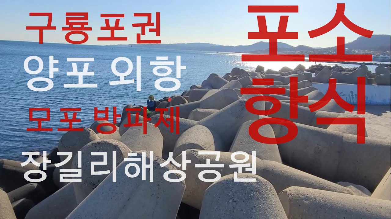 구룡포권조황 양포 모포 장길리조황 소식         #감포방파제 #고등어낚시 #포항원투낚시 #포항학꽁치낚시 #fishing #학꽁치낚시 #캠핑 #캠낚 #동해안낚시  #바다낚시