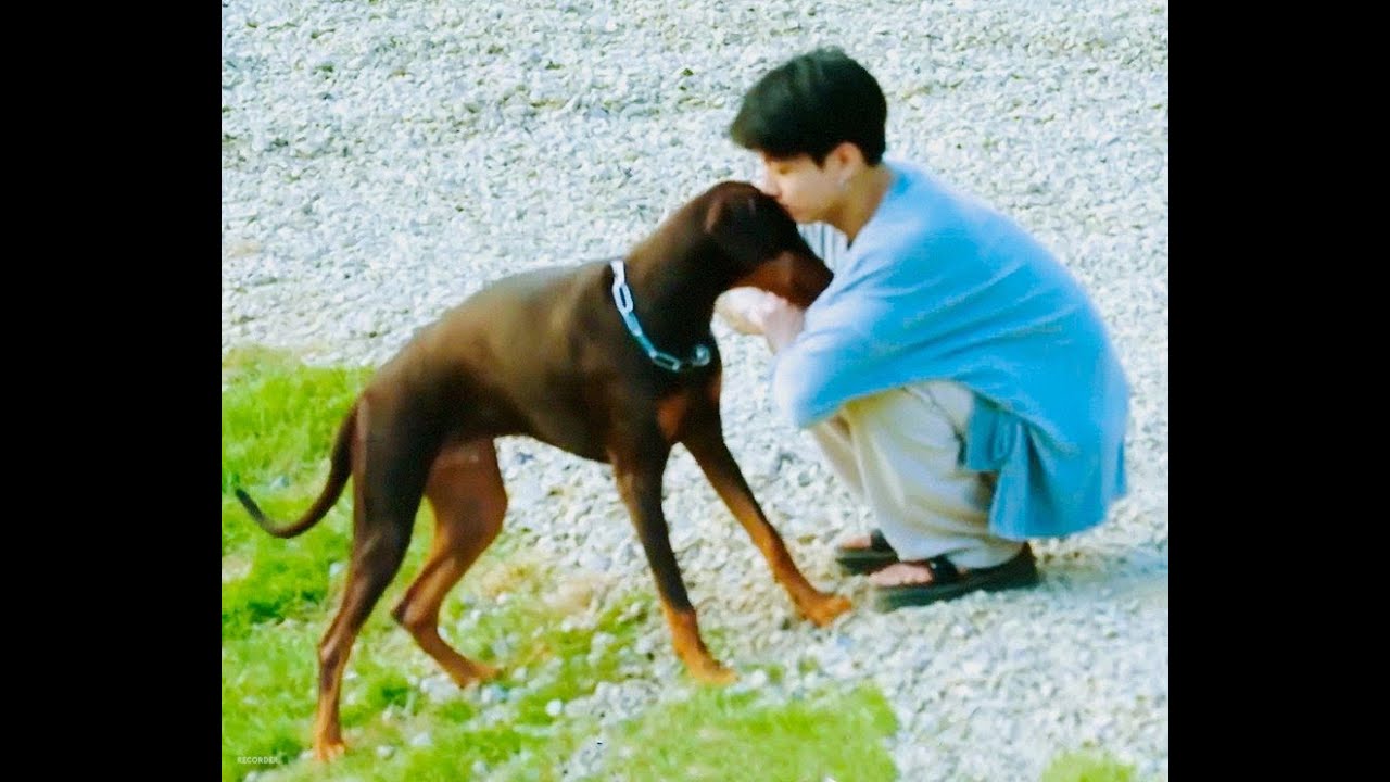 [세로영상] 행복한 🌰밤이네 가족 여행(feat.BTS) #JK #인더숲2