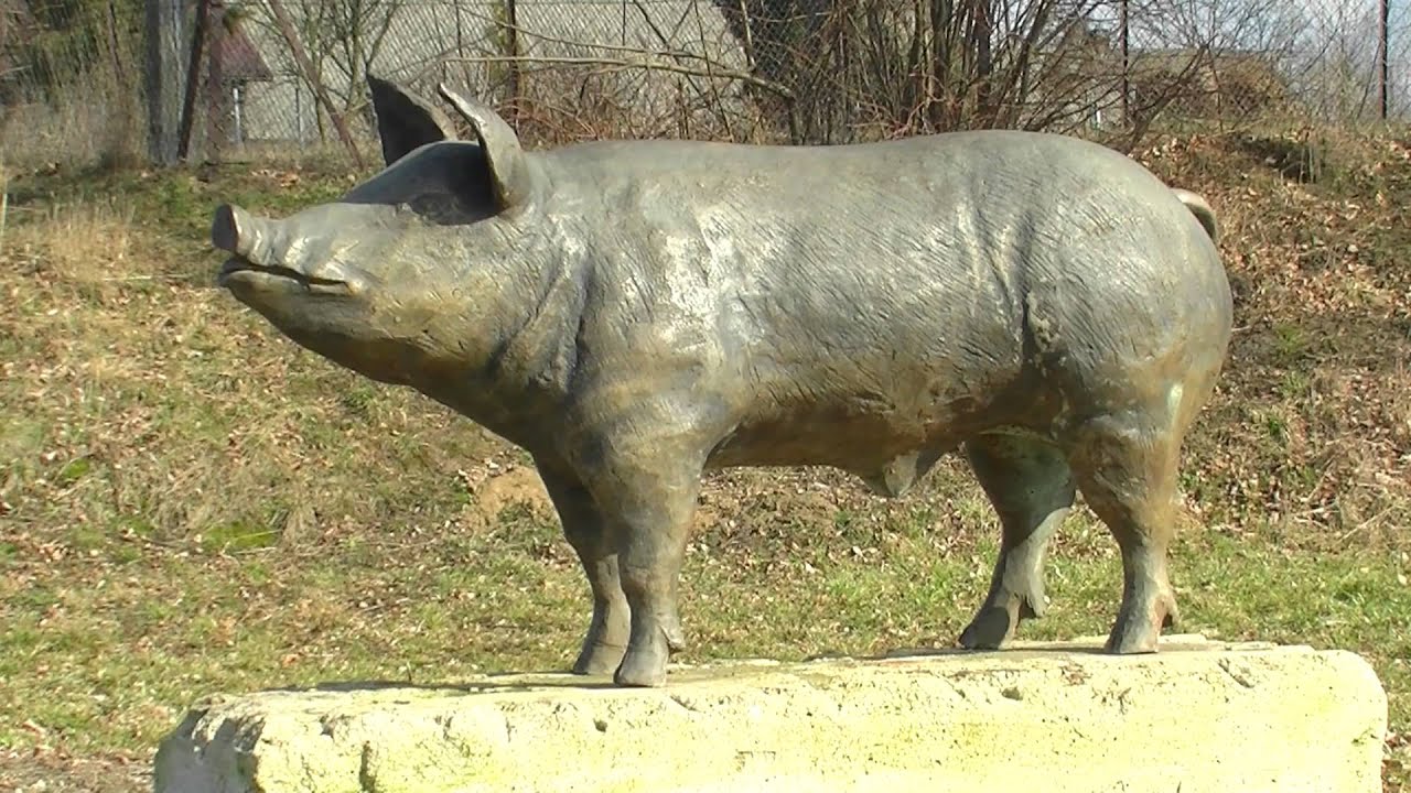 U źródeł Wieprza
