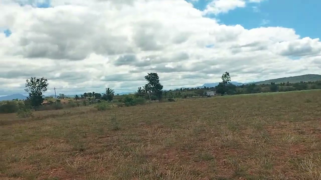 6 acr agriculture farm land for sale 21 lak for acre ph 8971607967.