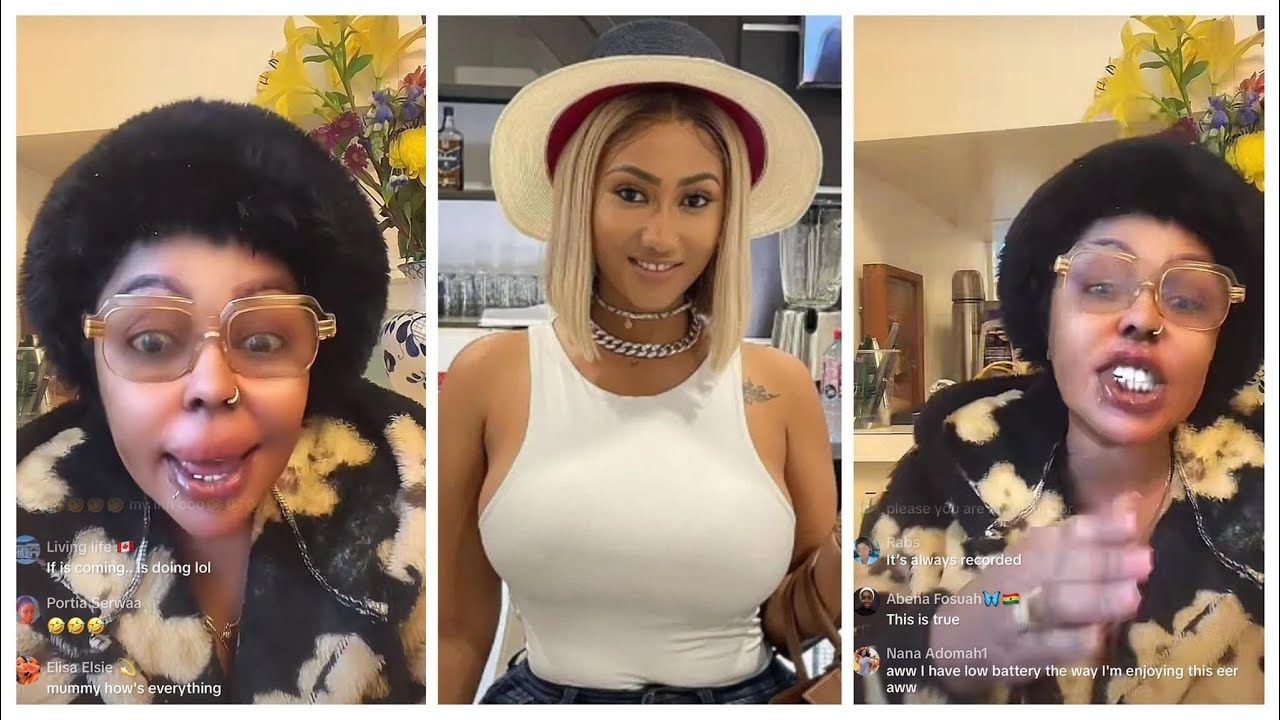 Afia Schwar lαshes Hajia4real after she plɛaded guilty-Tiktok, IG, Facebook have deleted her account