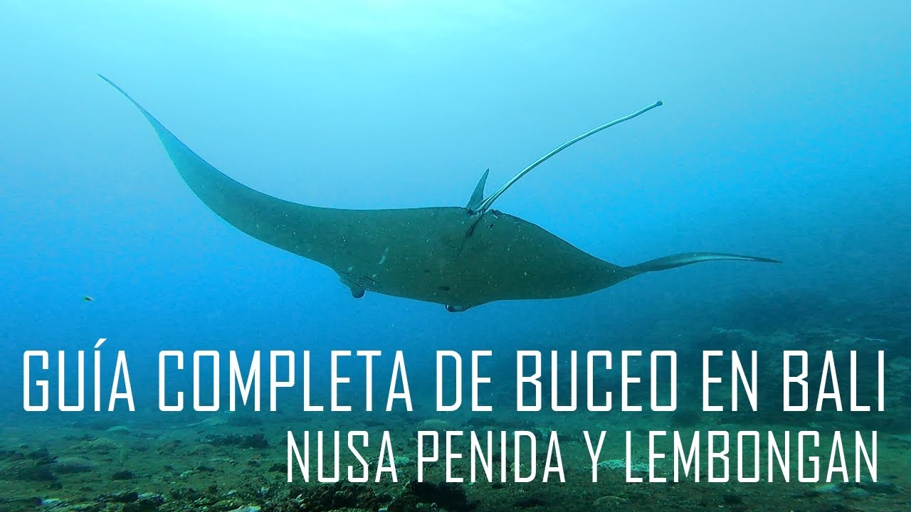 GUÍA COMPLETA DE BUCEO EN BALI