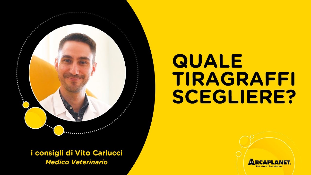 Quale tiragraffi scegliere tra semplice e complesso? | Arcaplanet
