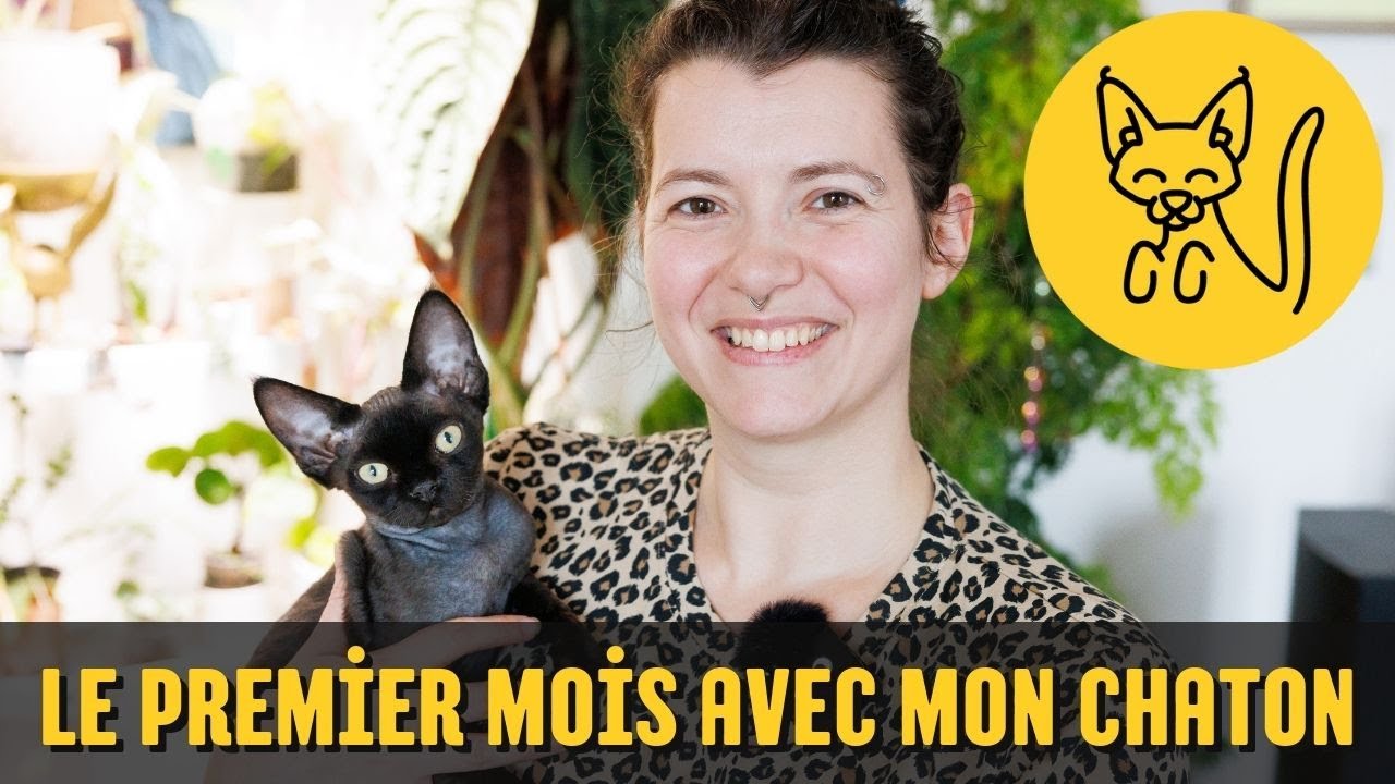 😻 Le premier mois de mon chaton à la maison 🐈‍⬛