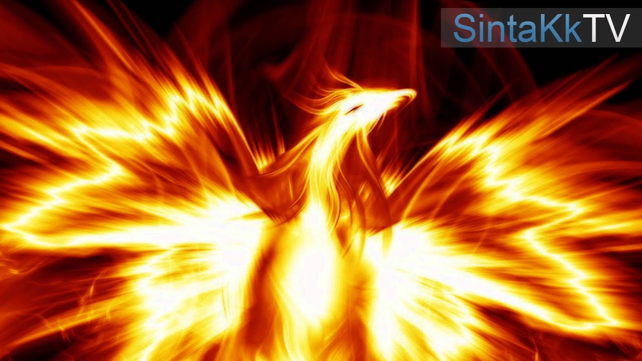 SintaKk - Phoenix [HD]