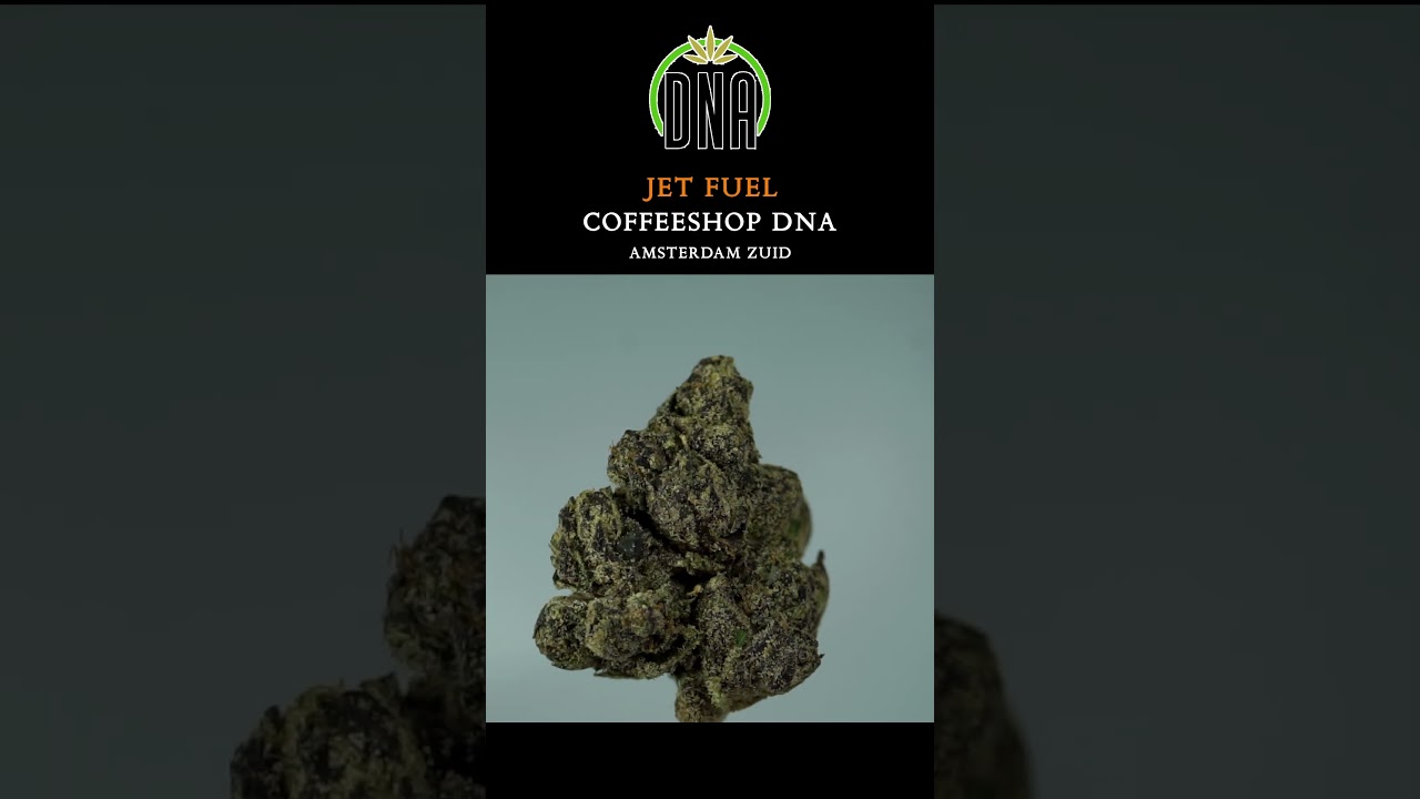 ✈️ Jet Fuel | Coffeeshop DNA Amsterdam Zuid 🌿   #amsterdamcoffeeshops