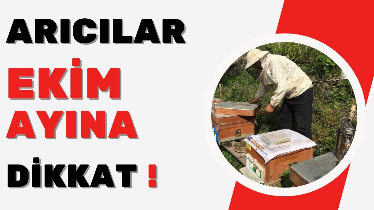 EKİM AYI ARICILIK İŞLERİ