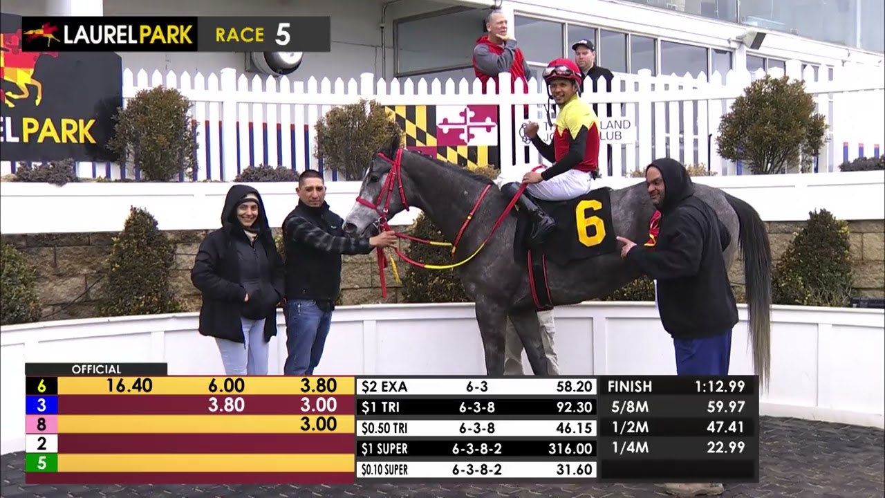 LAUREL PARK 2026-02-15 PL#99_REPLAY SHOW