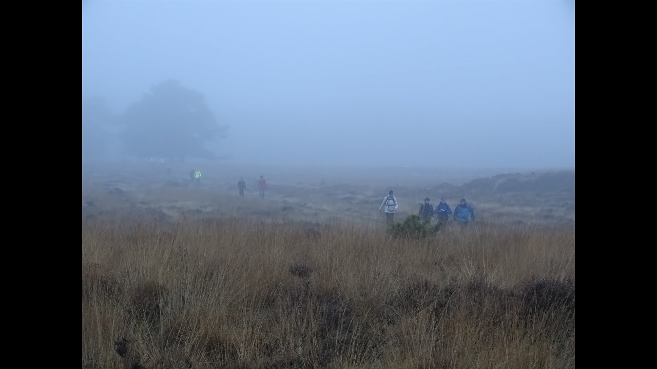 Drents-Friese Wold wandeling, Zorgvlied, wsv FLAL 37 km