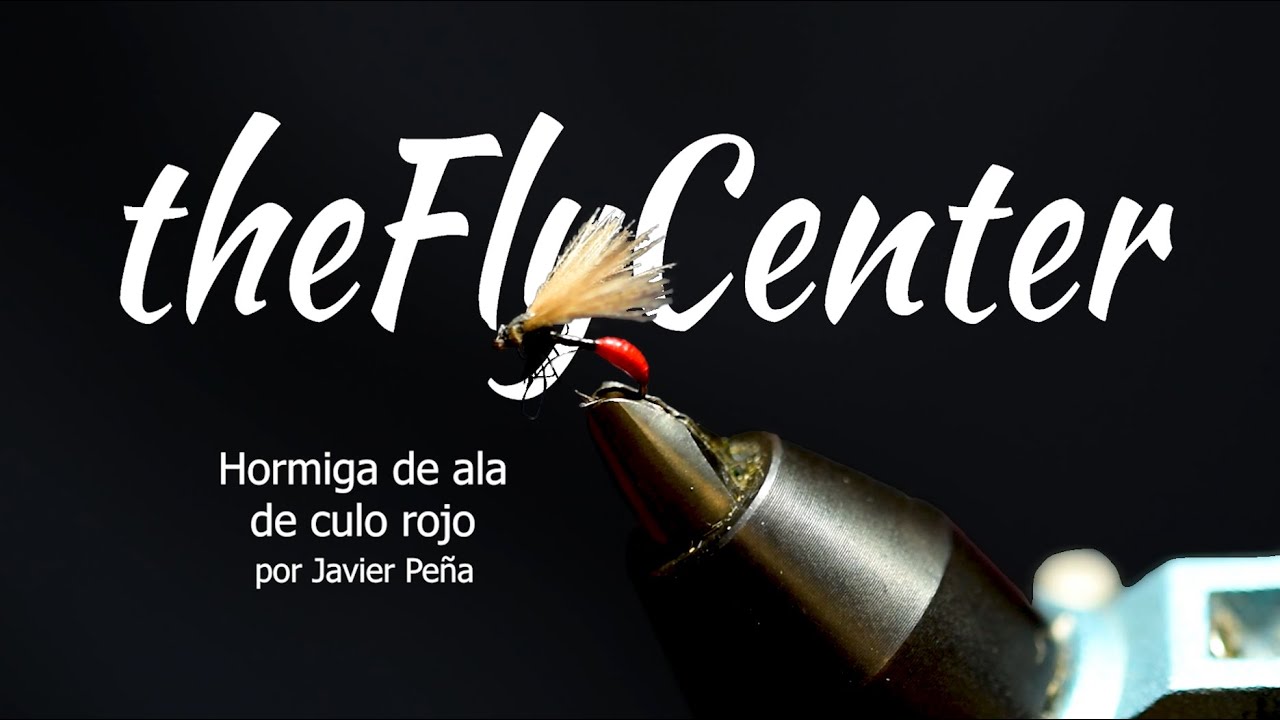 Montaje 