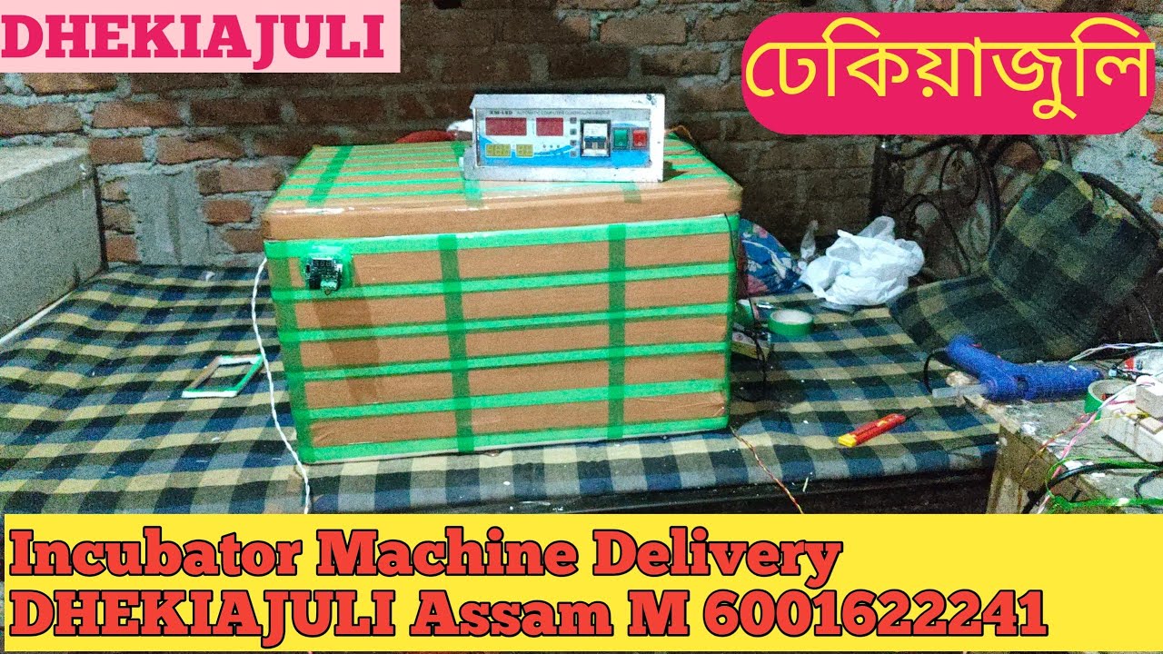 Incubator Machine Delivery DHEKIAJULI Assam ALL india Delivery Available M 6001622241 #minivlog 