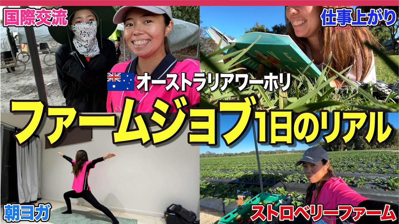 【稼げるワーホリ】オーストラリアのファームジョブで働くリアルな1日Vlog