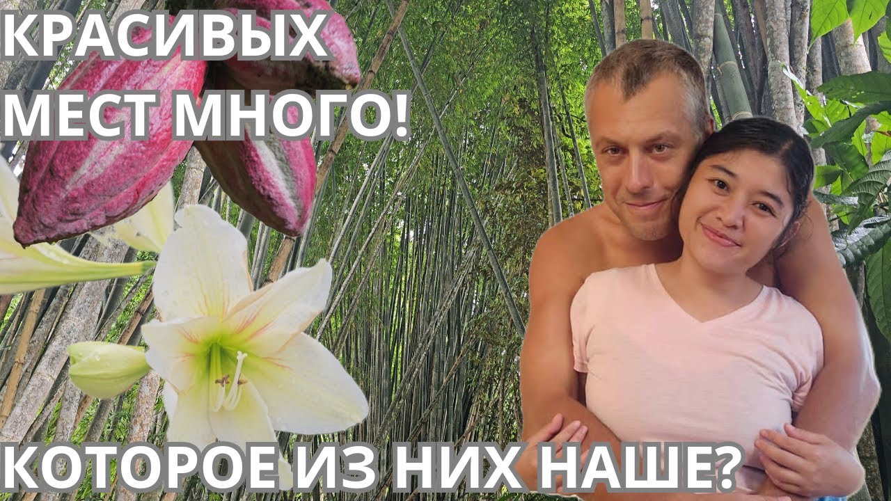 Где начнётся наша история: ищем землю для дома