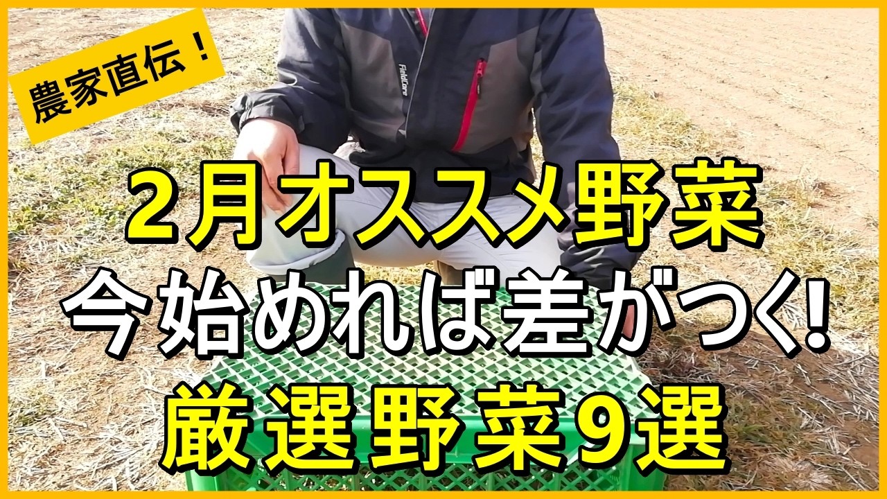 2月の種まき・植え付け野菜9選！春の収穫を増やすコツを解説【有機農家直伝！無農薬で育てる家庭菜園】　26/2/5